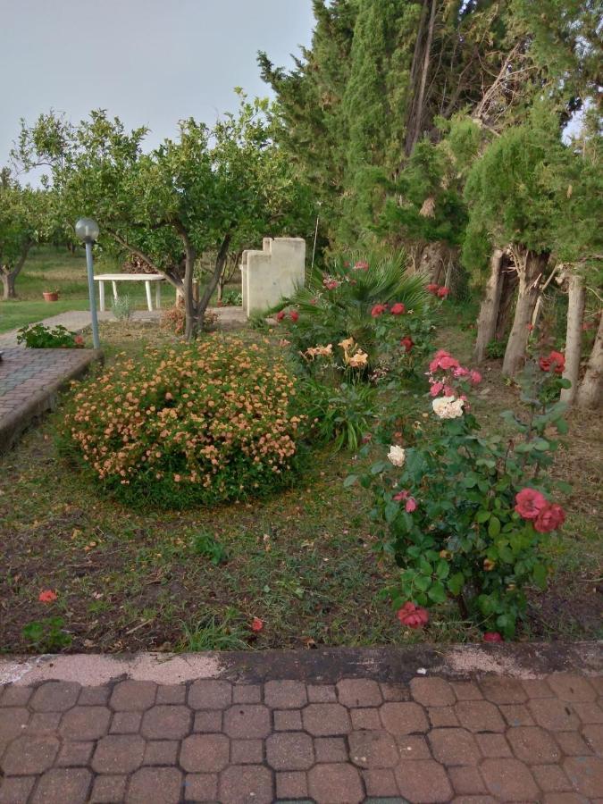 Appartamento In Orosei In Villa Delle Arance 300Mt Dalla Spiaggia Екстер'єр фото