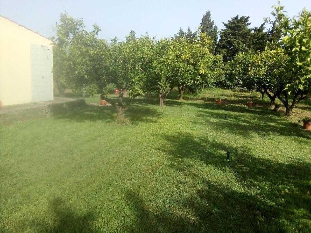Appartamento In Orosei In Villa Delle Arance 300Mt Dalla Spiaggia Екстер'єр фото