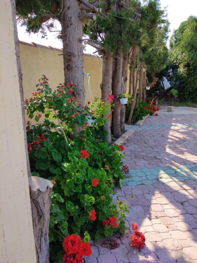 Appartamento In Orosei In Villa Delle Arance 300Mt Dalla Spiaggia Екстер'єр фото